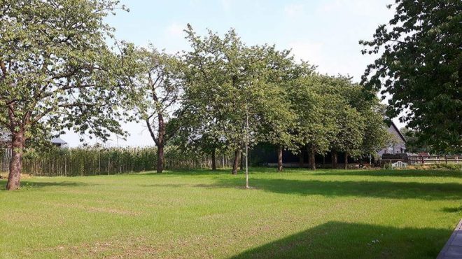 Gras zaaien Opheusden Gras zaaien Opheusden