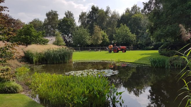 onkruidbestrijding gazon Onkruidbestrijding gazon