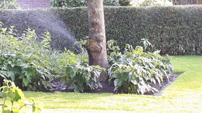 Grastotaal automatische gras beregening Grastotaal automatische tuin beregeningssysteem