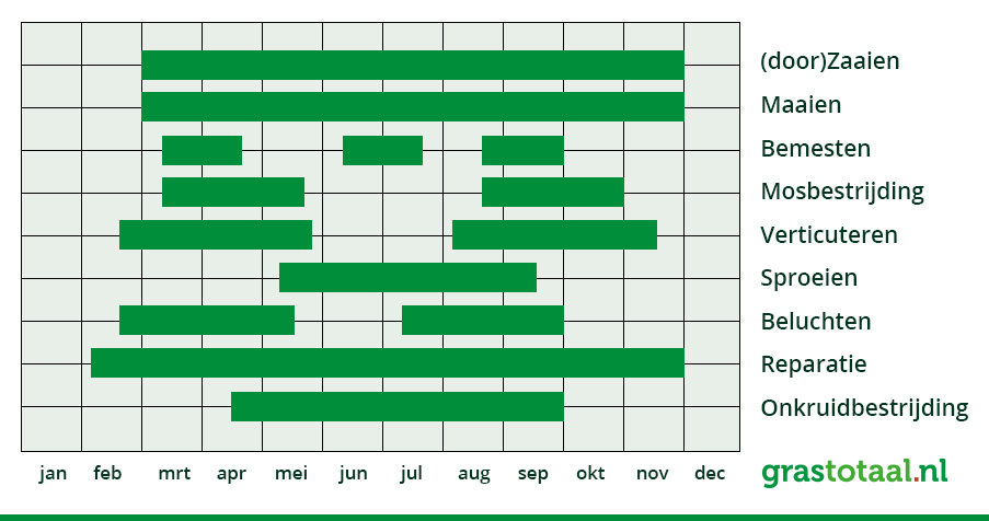 Gazonkalender: wat doe je in welke maand