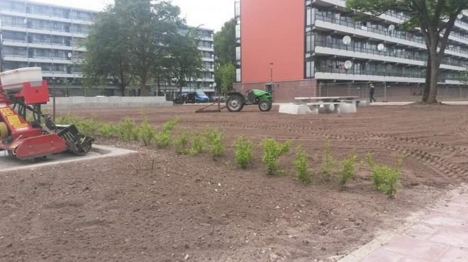 Gras zaaien gemeente Veenendaal Gras zaaien gemeente Veenendaal