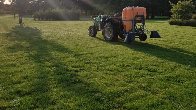Onkruidbestrijding gazon Vleuten3 Onkruidbestrijding in een gazon in Vleuten