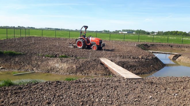 Gras zaaien Ammerzoden Gras zaaien Ammerzoden