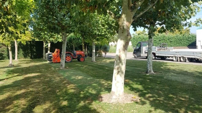 Verticuteren Wijk en Aalburg3 Verticuteren Wijk en Aalburg