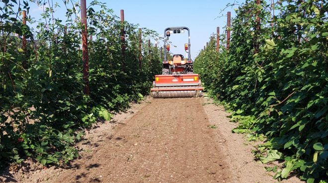 Gras zaaien Nieuwegein2 Kwekerij inzaaien