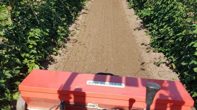 Gras zaaien Nieuwegein3 Kwekerij inzaaien