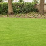 Grastotaal - Juni 2019 - Lienden 1 Grastotaal - Gras zaaien - Lienden