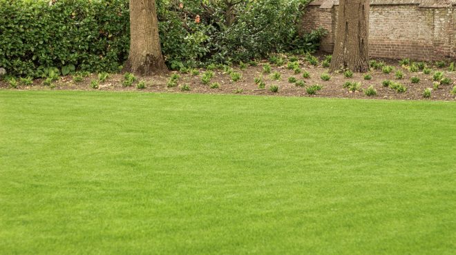 Grastotaal - Juni 2019 - Lienden 1 Grastotaal - Gras zaaien - Lienden