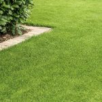 Grastotaal - Juni 2019 - Lienden 13 Grastotaal - Gras zaaien - Lienden
