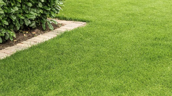 Grastotaal - Juni 2019 - Lienden 13 Grastotaal - Gras zaaien - Lienden