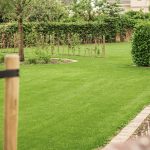 Grastotaal - Juni 2019 - Lienden 17 Grastotaal - Gazonkalender Gras zaaien - Lienden