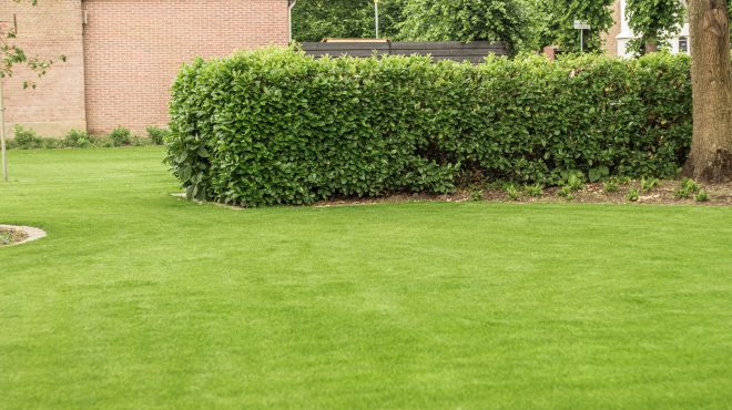 Grastotaal - Juni 2019 - Lienden 2 Grastotaal - Gras zaaien - Lienden