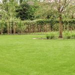 Grastotaal - Juni 2019 - Lienden 20 Grastotaal - Gras zaaien - Lienden