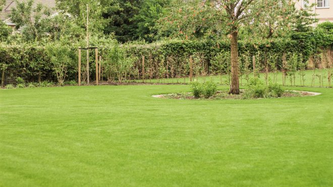 Grastotaal - Juni 2019 - Lienden 20 Grastotaal - Gras zaaien - Lienden