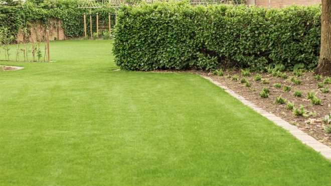 Grastotaal - Juni 2019 - Lienden 3 Grastotaal - Gras zaaien - Lienden