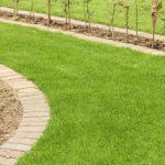 Grastotaal - Juni 2019 - Lienden 5 Grastotaal - Gras zaaien - Lienden