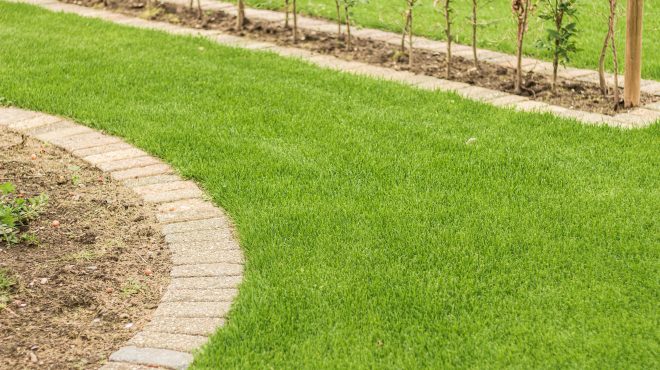 Grastotaal - Juni 2019 - Lienden 5 Grastotaal - Gras zaaien - Lienden