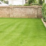 Grastotaal - Juni 2019 - Lienden 6 Grastotaal - Gras zaaien - Lienden