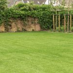 Grastotaal - Juni 2019 - Lienden 7 Grastotaal - Gras zaaien - Lienden