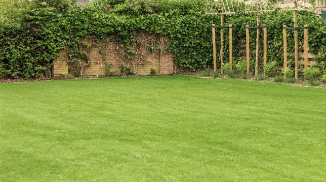 Grastotaal - Juni 2019 - Lienden 7 Grastotaal - Gras zaaien - Lienden