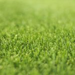 Grastotaal - Juni 2019 - Lienden 9 Grastotaal - Gras zaaien - Lienden