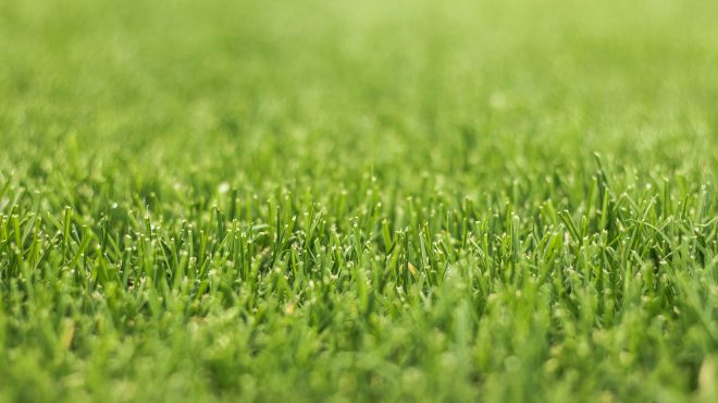 Grastotaal - Juni 2019 - Lienden 9 Grastotaal - Gras zaaien - Lienden
