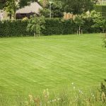 Grastotaal - Juni 2019 - Opheusden 1 Grastotaal - Gras zaaien - Opheusden