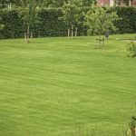 Grastotaal - Juni 2019 - Opheusden 4 Grastotaal - Gras zaaien - Opheusden