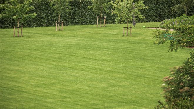 Grastotaal - Juni 2019 - Opheusden 4 Grastotaal - Gras zaaien - Opheusden
