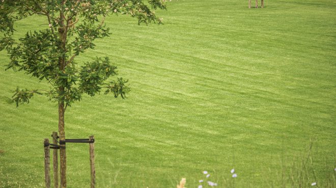 Grastotaal - Juni 2019 - Opheusden 5 Grastotaal - Gras zaaien - Opheusden