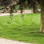 Grastotaal - Juni 2019 - Randwijk 3 Grastotaal - Gras zaaien - Randwijk