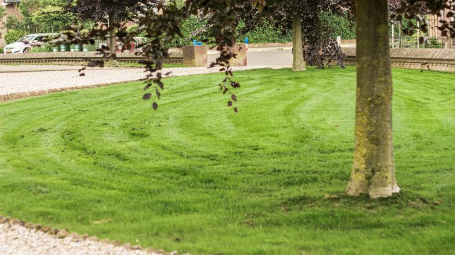 Grastotaal - Juni 2019 - Randwijk 3 Grastotaal - Gras zaaien - Randwijk