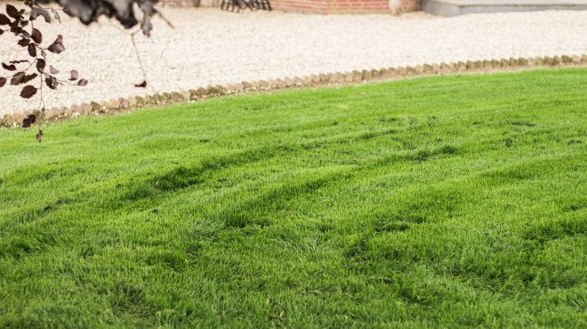 Grastotaal - Juni 2019 - Randwijk 5 Grastotaal - Gras zaaien - Randwijk