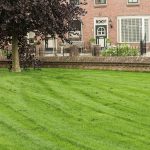 Grastotaal - Juni 2019 - Randwijk 6 Grastotaal - Gras zaaien - Randwijk