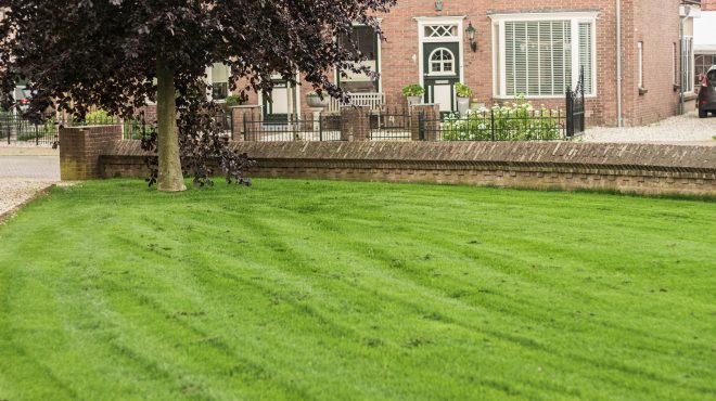 Grastotaal - Juni 2019 - Randwijk 6 Grastotaal - Gras zaaien - Randwijk