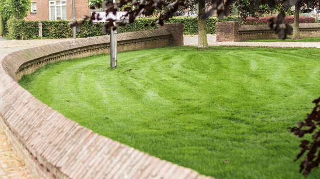 Grastotaal - Juni 2019 - Randwijk 8 Grastotaal - Gras zaaien - Randwijk