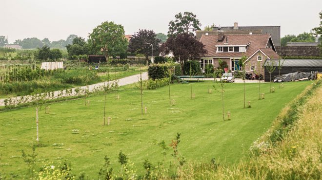 Grastotaal - Juni 2019 - Rijnbandijk 2 Grastotaal - Gras zaaien - Opheusden