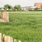 Grastotaal - Juni 2019 - Weide 1 Grastotaal - gras zaaien - Weide Lienden