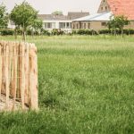 Grastotaal - Juni 2019 - Weide 10 Grastotaal - gras zaaien - Weide Lienden