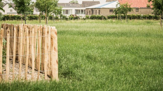 Grastotaal - Juni 2019 - Weide 10 Grastotaal - gras zaaien - Weide Lienden