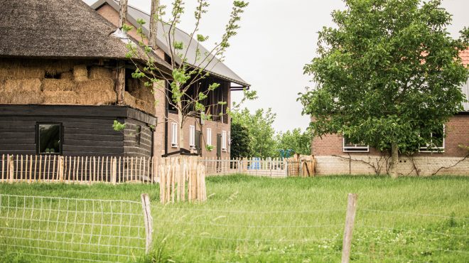 Grastotaal - Juni 2019 - Weide 13 Grastotaal - gras zaaien - Weide Lienden