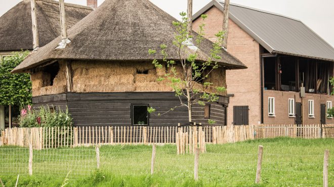 Grastotaal - Juni 2019 - Weide Grastotaal - gras zaaien - Weide Lienden