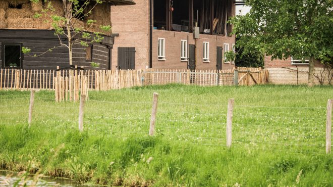 Grastotaal - Juni 2019 - Weide 17 Grastotaal - gras zaaien - Weide Lienden