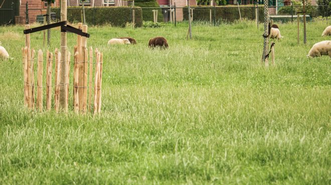 Grastotaal_Gras-zaaien-weide Grastotaal_Gras-zaaien-weide