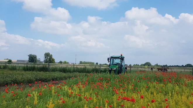 Grastotaal - Overtop Frezen - bloemenmengsel Grond klaarmaken voor een bloemenmengsel