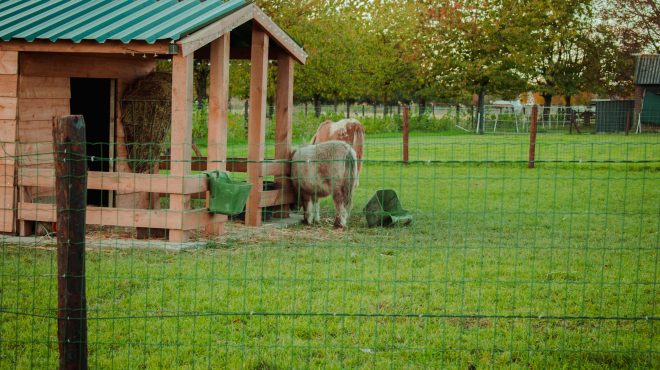 Gras zaaien Grastotaal Kesteren Boerderij Gras zaaien Grastotaal Kesteren Boerderij