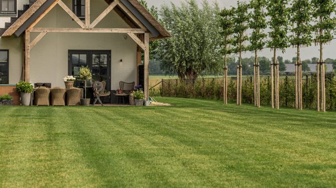 Grastotaal - gras laten zaaien - gras zaaien - graszaad-67