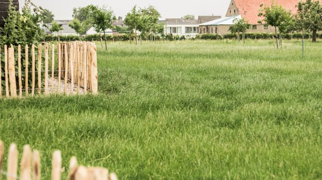 Grastotaal - Juni 2019 - Weide 1 Ingezaaide weide in juni