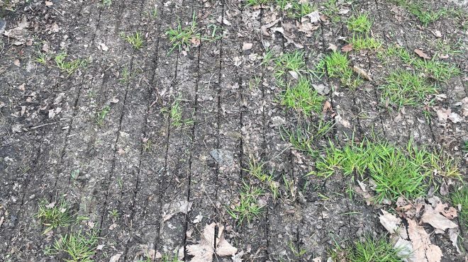 Resultaat Vredo snijtechniek Resultaat Vredo snijtechniek