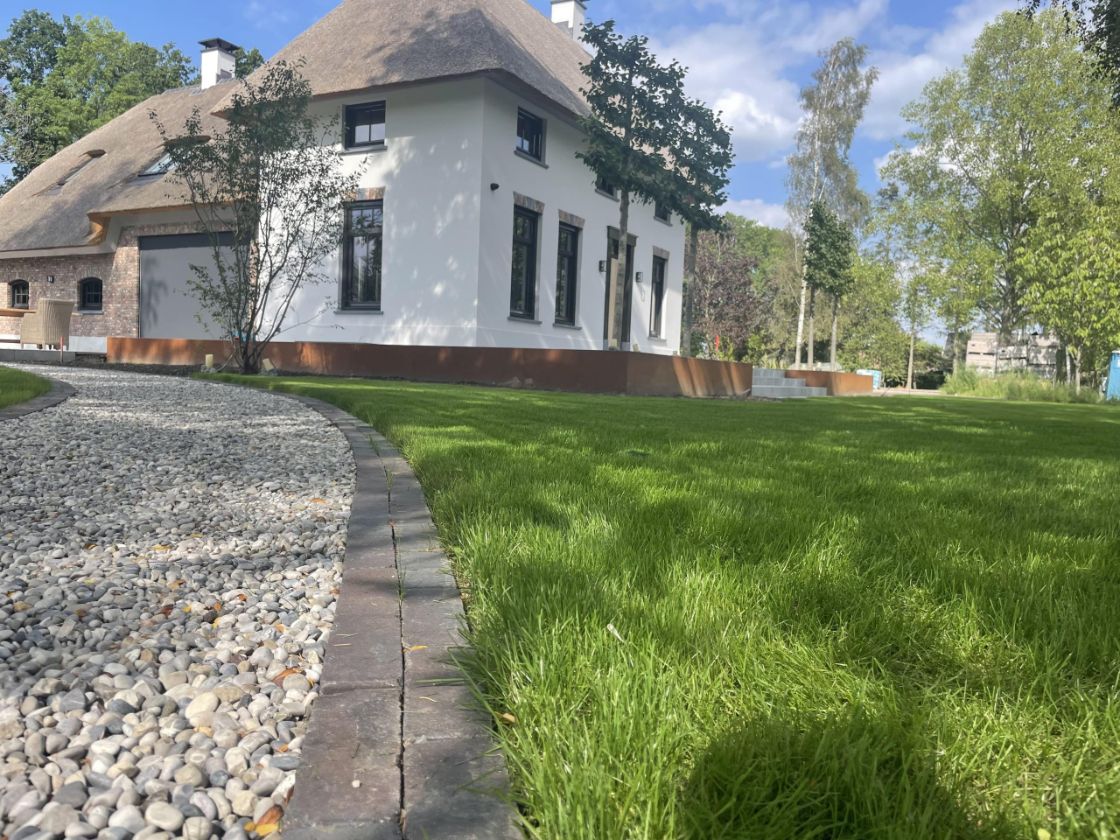 Nieuwbouwtuin ingezaaid door Grastotaal, enkele weken na het zaaien